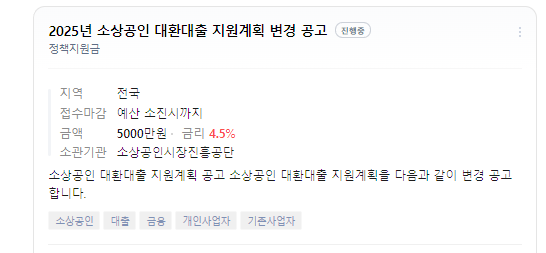 정부지원 대환대출