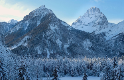 이수연 가수엄마